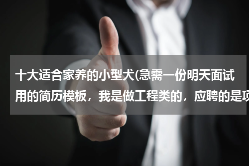 十大适合家养的小型犬(急需一份明天面试用的简历模板,我是做工程类的,应聘的是项目经理一职)