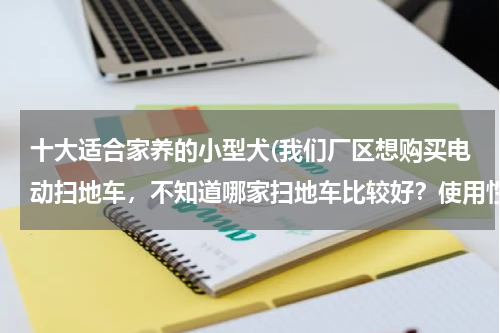 十大适合家养的小型犬(我们厂区想购买电动扫地车,不知道哪家扫地车比较好?使用性能怎么样?)