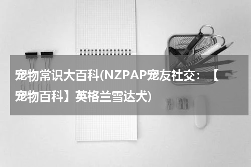 宠物常识大百科(NZPAP宠友社交:【宠物百科】英格兰雪达犬)
